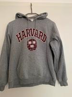 H&M Harry Potter Pullover Sweatshirt grau Gr S/36 Harvard Nordrhein-Westfalen - Menden Vorschau