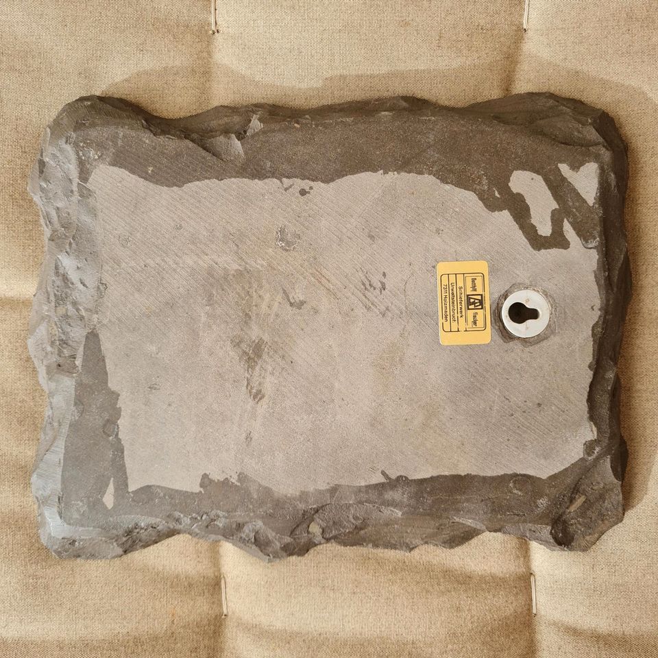 Fossil Holzmaden Schiefer Platte in Saarbrücken