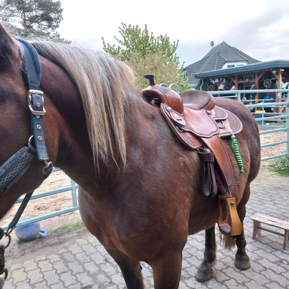 Diesen schönen Westernsattel Diaman C in Wietze