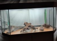Aquarium mit Unterschrank Niedersachsen - Schortens Vorschau