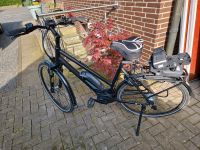 Pegasus Solero E8R Plus Ebike 28 Zoll, Rahmen 58 cm Nordrhein-Westfalen - Rosendahl Vorschau