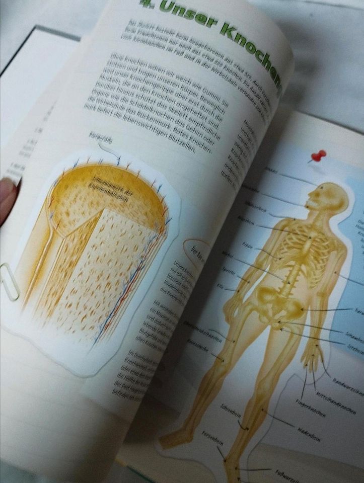 Der Mensch, Körpersysteme Organe Funktion, Kinderbuch in Ellingen