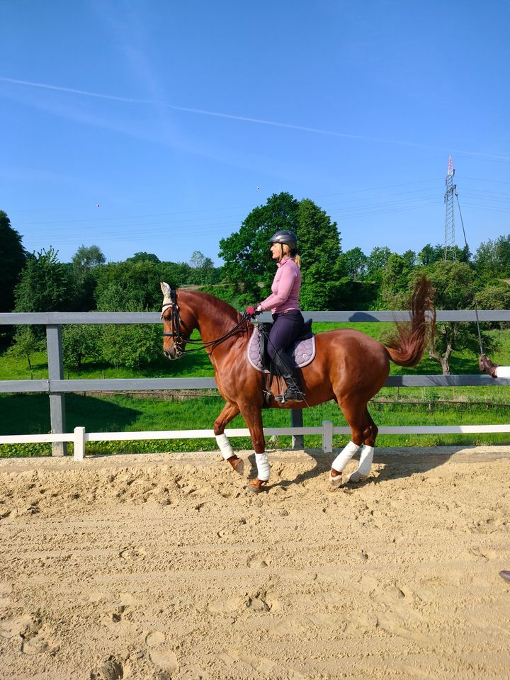 Mobiler Reitunterricht klassisch, Einzelunterricht, Dressur in Wülfrath