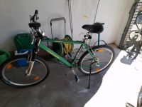 Fahrräder  zu verkaufen Dithmarschen - Heide Vorschau