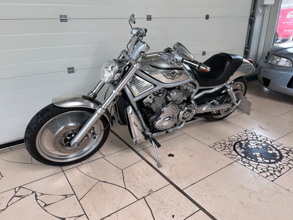 Harley Davidson V Rod Edition 100 in Haltern am See