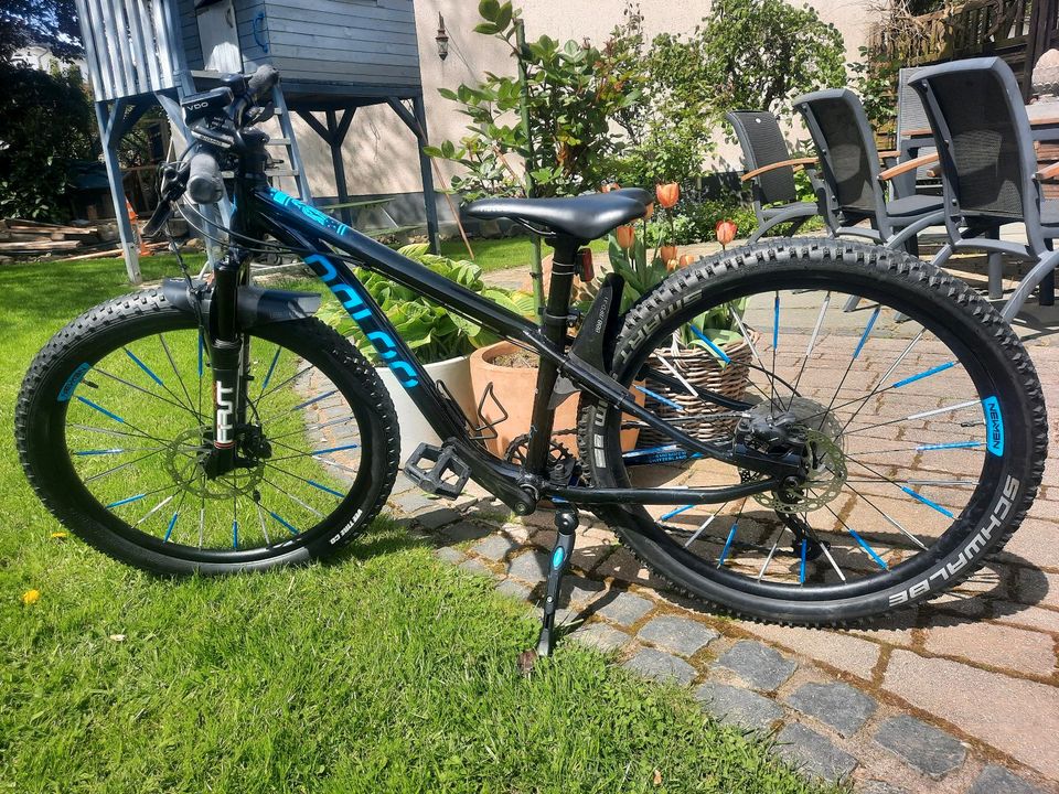 Naloo  Hill Bill MK2 24" MTB / Mountain Bike in Arnsberg