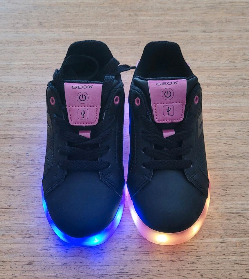 Geox Schnürschuhe Sneakers 29 LED neu in Queidersbach