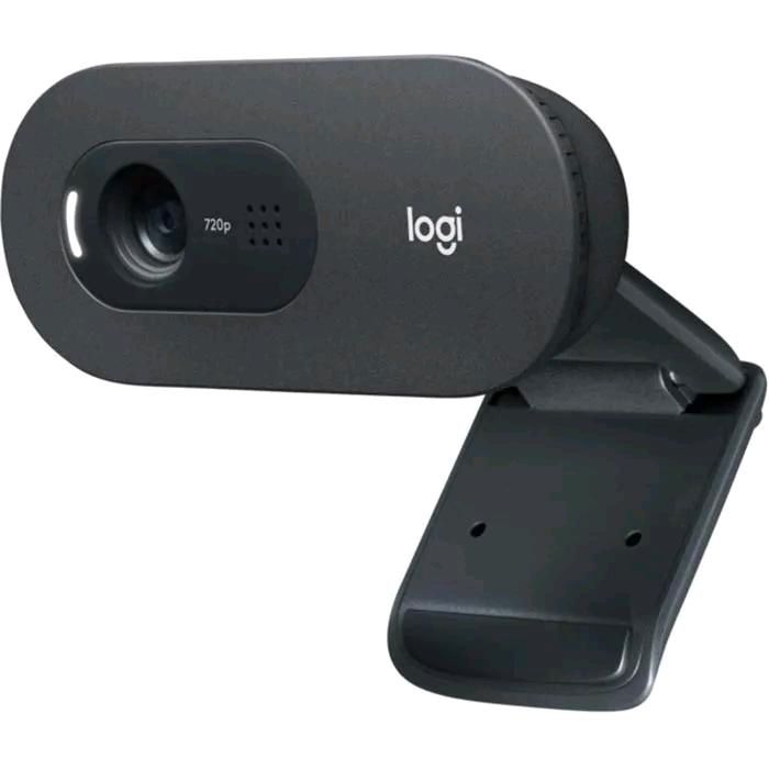 NEU Logitech C505e Webcam in Karlstein