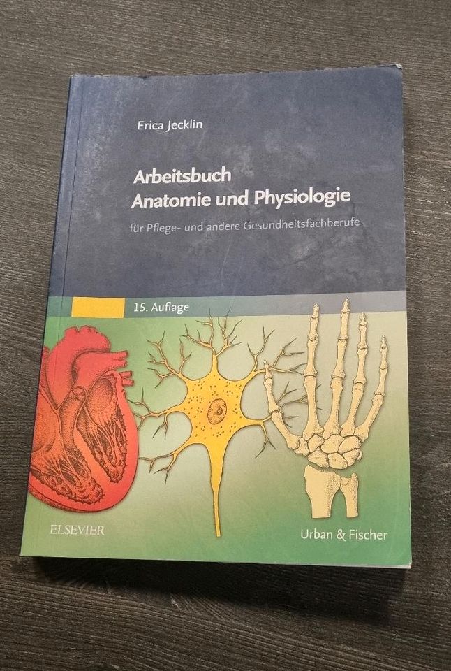 Arbeitsbuch Anatomie und Physiologie in Aue