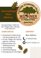 Baumpflege /Klettern /Fällung Thüringen - Saalfeld (Saale) Vorschau