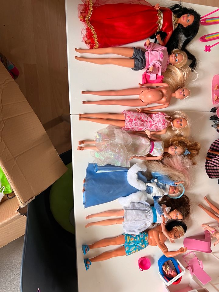 Barbie Sammlung, 20 Barbies + viel Zubehör in Cremlingen