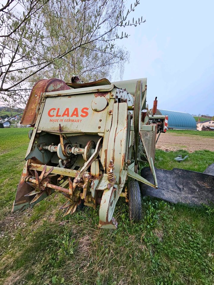 Claas Columbus/ Mähdrescher in Wolkenstein