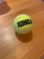 Kong Hunde Ball Niedersachsen - Osnabrück Vorschau