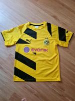 Borussia Dortmund Trikot Jersey BVB 09 Tim Puma Berlin - Marienfelde Vorschau