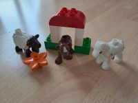 Lego duplo Bauernhoftiere Hessen - Höchst im Odenwald Vorschau