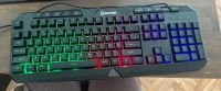 Tastatur zu verkaufen Altona - Hamburg Lurup Vorschau