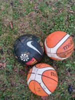 Ich Verkaufe  3 Baskettbelle 1 von Nike und 2 standart Schleswig-Holstein - Preetz Vorschau