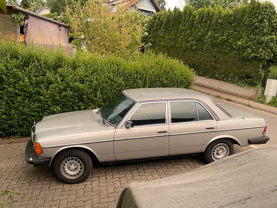 W123 300 Turbo in Lindau