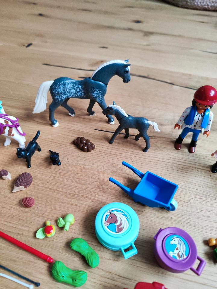 Playmobil Country Adventskalender Pferde Igel Pony in Eching (Kr Freising)