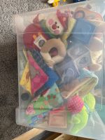 Große Kiste mit diversem Babyspielzeug Brandenburg - Potsdam Vorschau