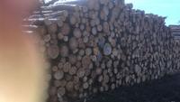 Stammholz Polterholz Brennholz Kaminholz Nadelholz Fichte Bayern - Bad Windsheim Vorschau