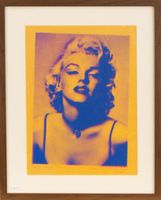 Siebdruck motiv "Marylin Monroe", im 40x50 cm Rahmen Güstrow - Landkreis - Zehna Vorschau