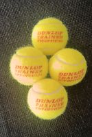 20x Tennisbälle Ball Bälle Tennis Dunlop Trainer gebr. sauber Niedersachsen - Lehrte Vorschau