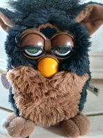 Furby von Hasbro 1998, Nordrhein-Westfalen - Warstein Vorschau