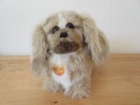 Steiff Pekinese Hund Junior Peky 22 cm mit KFS 2890/22 Hamburg-Nord - Hamburg Fuhlsbüttel Vorschau