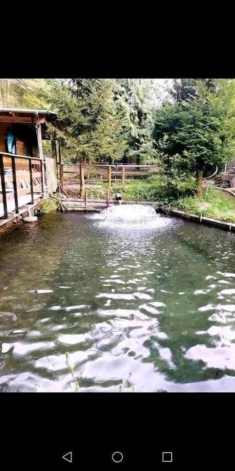 Ferienwohnung mit Streichelzoo im Sauerland nähe Winterberg in Bestwig