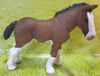 Fohlen von Schleich gebraucht Bayern - Pommelsbrunn Vorschau