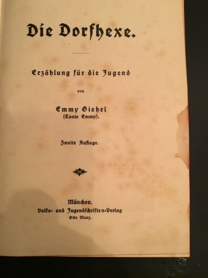 Altes Buch die Dorfhexe von Emmy Giehrl um 1900 in Vogt