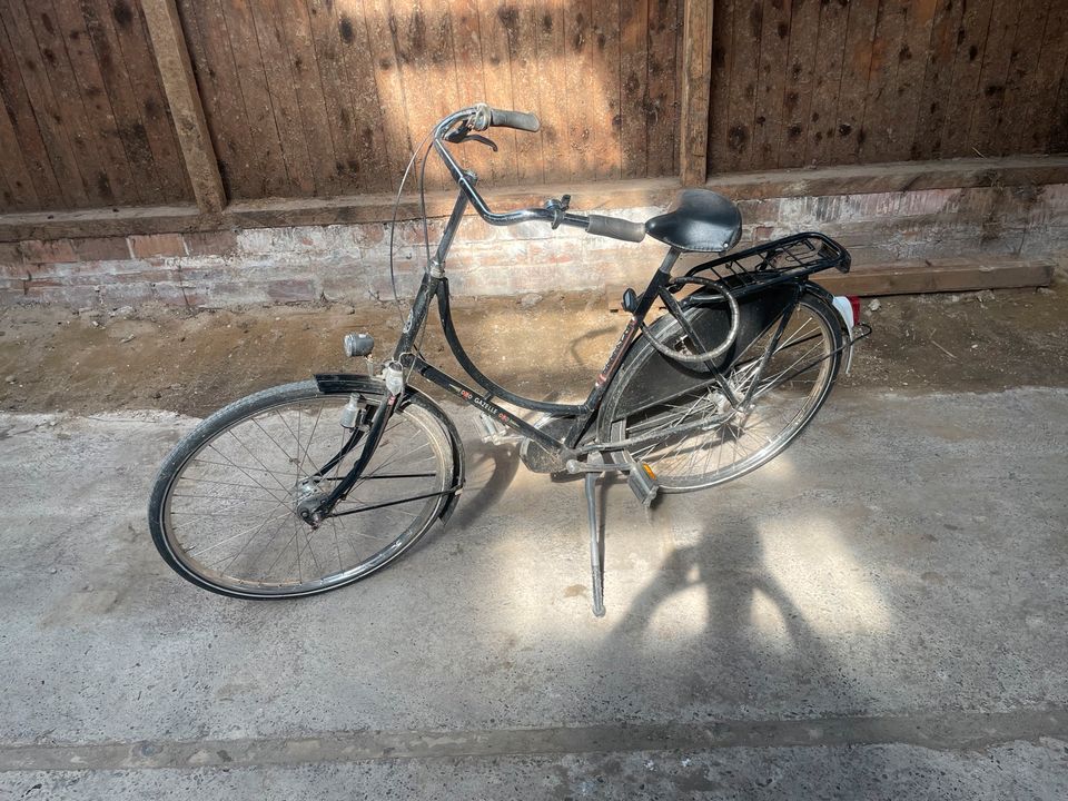 Fahrrad Gazelle in Dülmen