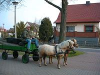 Ponywagen Gummiwagen Shetty Güstrow - Landkreis - Zehna Vorschau