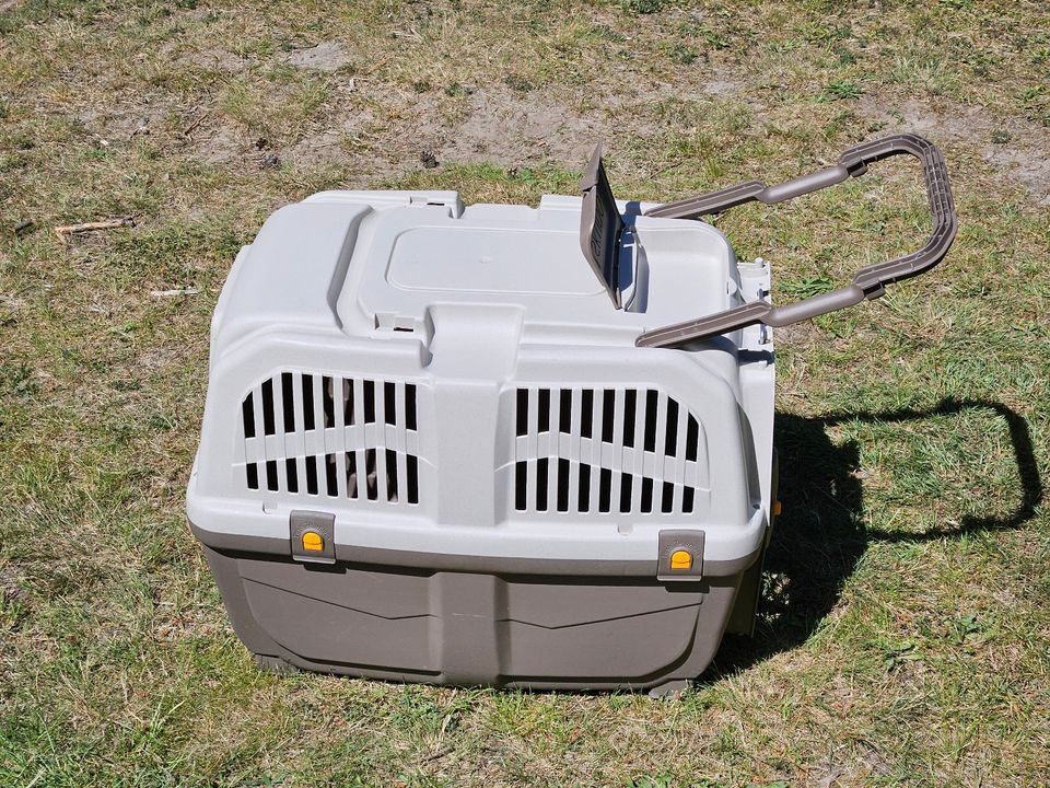 Hundebox / Katzenbox Nobby Transportbox Skudo 4 in Trassenheide