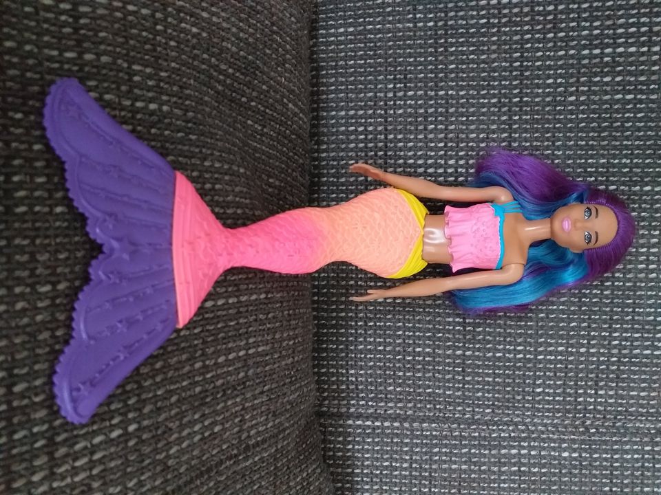 Barbie Meerjungfrau in Windhagen