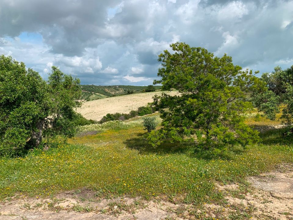 Finca in Andalusien!  Pferdehaltung! 3 Ha.Land im Außenbereich in Speyer