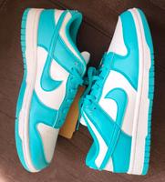 Nike Dunk Low DD1873-105 White Dusty Cactus NEU Thüringen - Tabarz Thüringer Wald Vorschau
