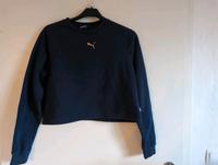 Sweatshirt kurz Puma Hansestadt Demmin - Stavenhagen Vorschau