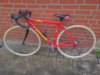 Cannondale saeco Rennrad Triathlon RH 48 retro Sammler Nordrhein-Westfalen - Sassenberg Vorschau