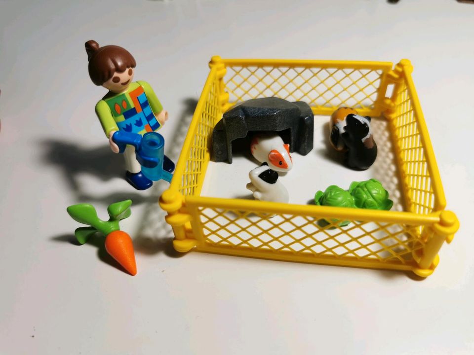 Playmobil 4794 Meerschweinchen in Rennertshofen