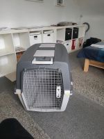 Transportbox für M- XL Hunde Hannover - Nord Vorschau