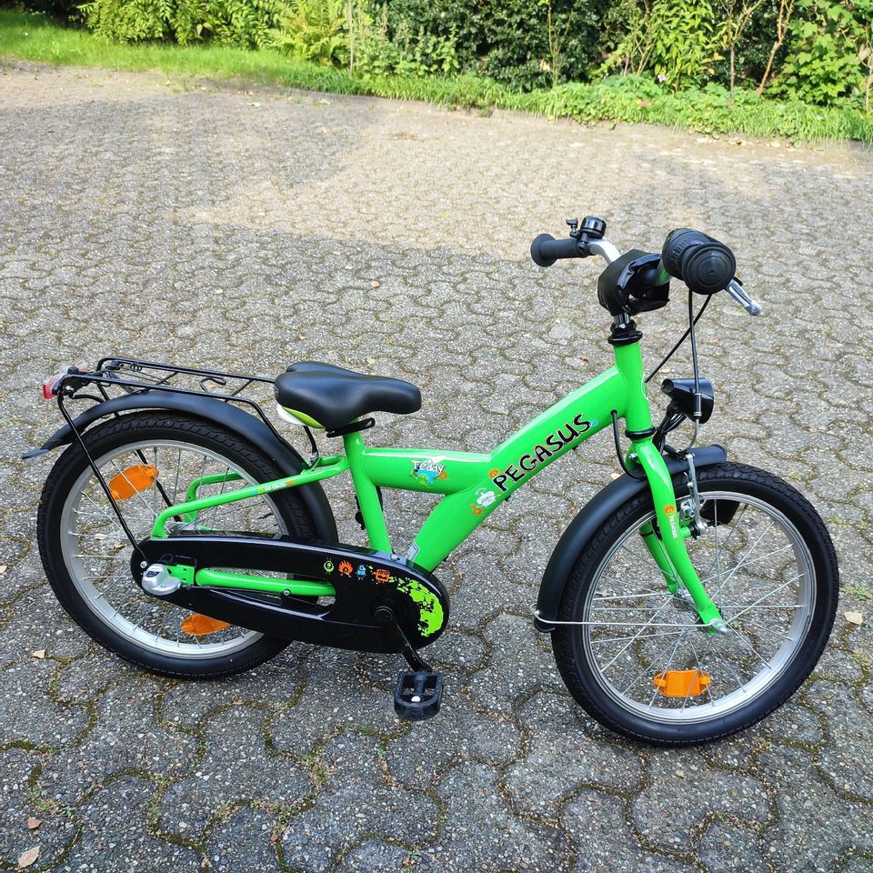 Pegasus Kinderfahrrad 18 zoll mit Licht in Oberhausen