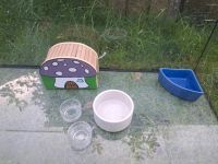 Glas Terrarium Nagarium 80x40x45 Schleswig-Holstein - Meyn Vorschau