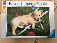 Ravensburger Puzzle Hund 500 Teile Rheinland-Pfalz - Rommersheim Vorschau