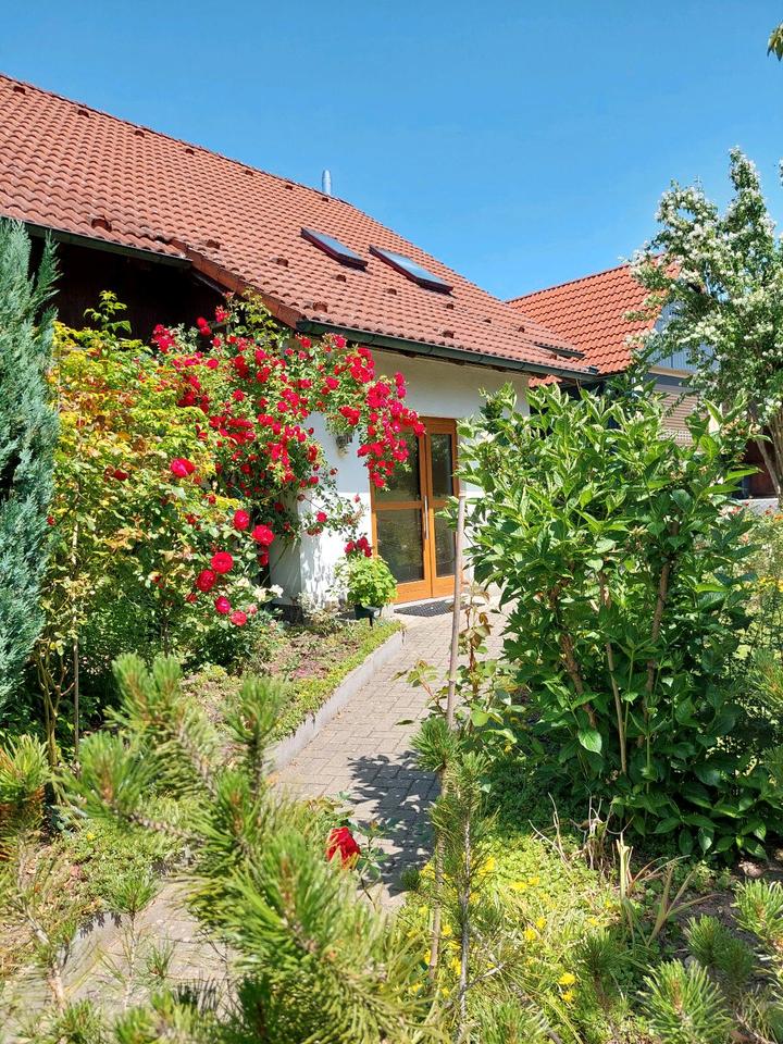 Einfamilienhaus zur Miete