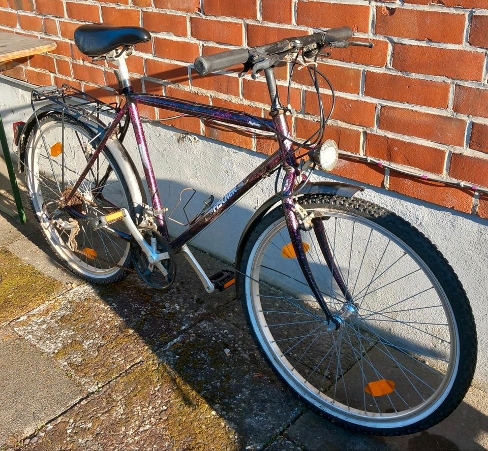 Fischer Trend Line Fahrrad 26 Zoll in Dassendorf