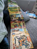 Mosaik Comics Baden-Württemberg - Engen Vorschau