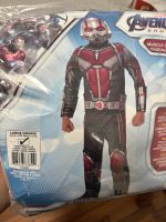 Kostüm/Verkleidung Marvel Antman Nordrhein-Westfalen - Marl Vorschau