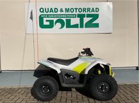 CFMOTO CForce EV 110 Elektro Kinderquad Sachsen-Anhalt - Eisleben Vorschau